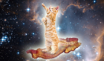 Bacon Space Kitty Adventures of Accordion Guy in the 21st Century