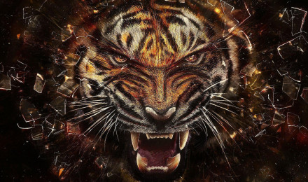 Cool Tiger Wallpaper