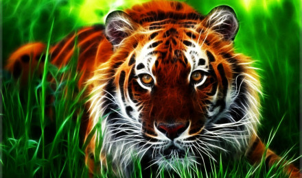 Free download Free Tiger Wallpaper Desktop Tiger Wallpaper HD [1600x1200] for your Desktop, Mobile & Tablet. Explore Tiger HD Wallpaper. White Tiger Wallpaper Hd, White Tiger HD Wallpaper, HD Tiger Background