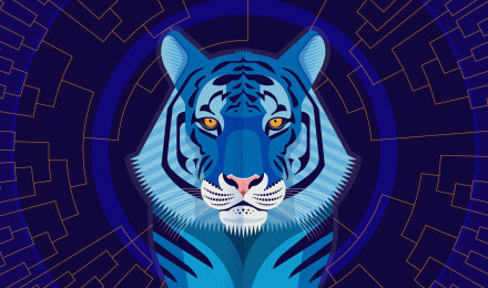 Tiger Minimal Wallpaper Look.org