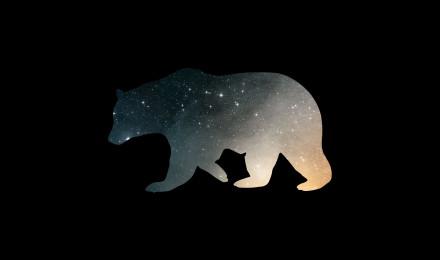 Minimal Bear Wallpaper [2560x1600]. Bear wallpaper, HD wallpaper, High quality wallpaper