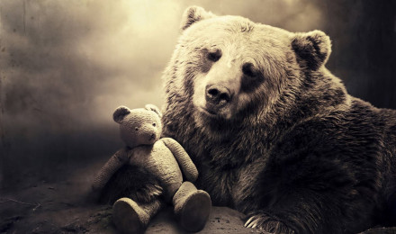 Download Bear wallpaper for mobile phone, free Bear HD picture