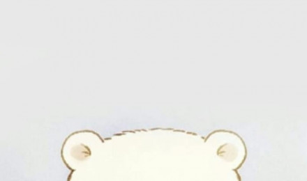 Polar bear, bear, bears, cute, HD phone wallpaper