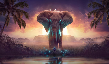 Elephant Wallpaper 4K, Dream, Mysterious, Surreal