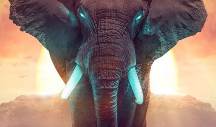 The Elephant Dream Nexus Samsung Galaxy Tab Note Android Tablets HD 4k Wallpaper, Image, Background, Photo and Picture