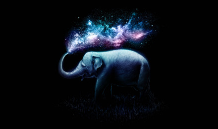 Elephant Wallpaper 4K, Colorful, Surreal, AMOLED