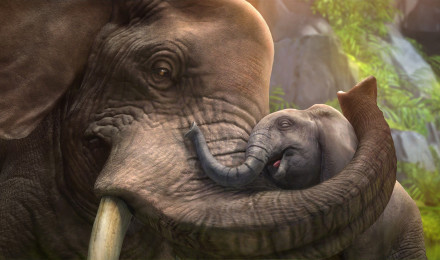 Wallpaper Elephant, cub, zoo tycoon, animals, grey, art, tourism, Animals