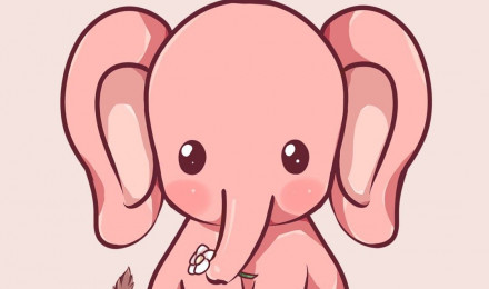 Little elephant Wallpaper Download