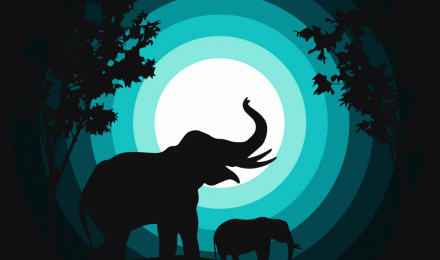 Elephant Wallpaper 4K, cub, Silhouette, Night, Teal