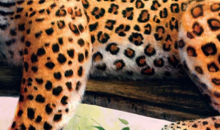 Leopard Art HD iPhone XS, iPhone iPhone X HD 4k Wallpaper, Image, Background, Photo and Picture