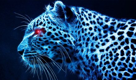 Leopard wallpaperx1080