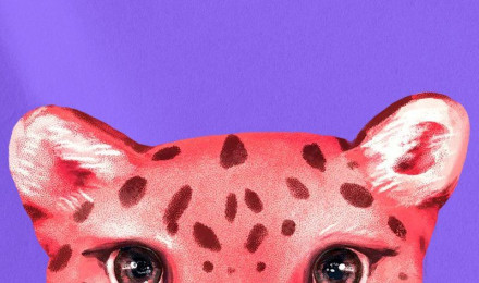 Pink Leopard Wallpaper Image Wallpaper