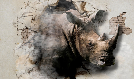 3D Wallpaper Rhinoceros From the Wall Wallcovering on