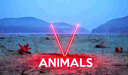 Maroon 5 Animals Wallpaper