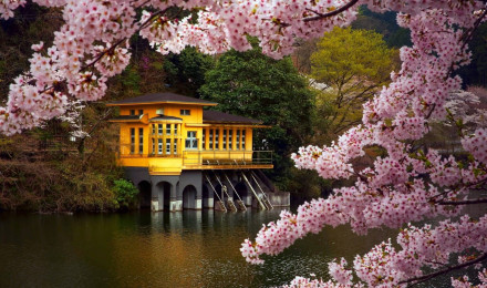 Download Floating House Japanese Nature Wallpaper