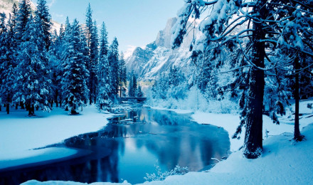 Snowy Landscape Wallpaper