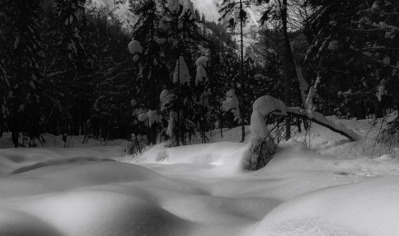 Dreamy Pixel. Free iPhone Wallpaper: Snowy landscape in black and white