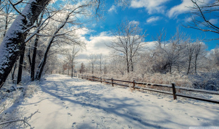 Snowy Road, Winter Landscape Ultra HD Desktop Background Wallpaper for 4K UHD TV : Widescreen & UltraWide Desktop & Laptop : Tablet