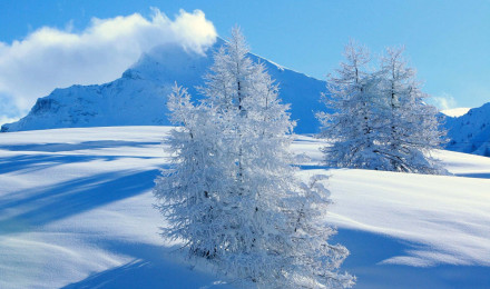 Download Serene Snowy Landscape Wallpaper