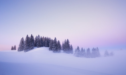 Winter Wallpaper 4K, Snow covered, Foggy, Trees