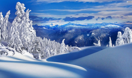 Snowy Landscapes wallpapers