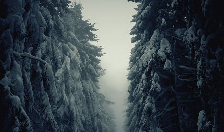 Breathtaking Photo Of Winter Landscapes