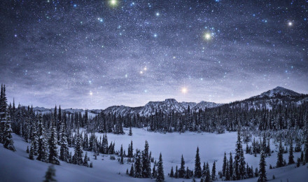 Starry Night over Winter Landscape