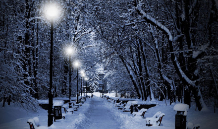 Snowy Park At Night Winter Natural Landscape Wallpaper