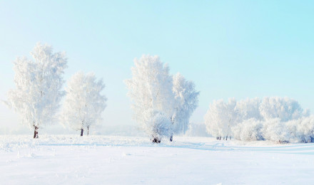 Winter nature snow beautiful lovely landscape landscapes wallpaperx2355