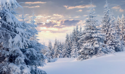 Imagination Meditation: Snowy Winter Landscape Joyful Dabbler