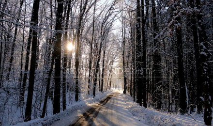 New England Winter and Snowy Landscape Photo