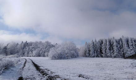 Snowy scenery Wallpaper 4k Ultra HD