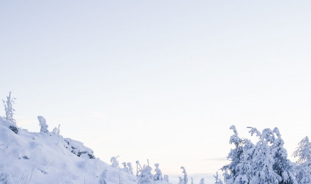 Snow Covered Landscape Free