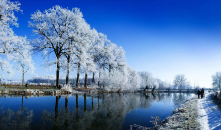 Snowy Landscape Wallpaper