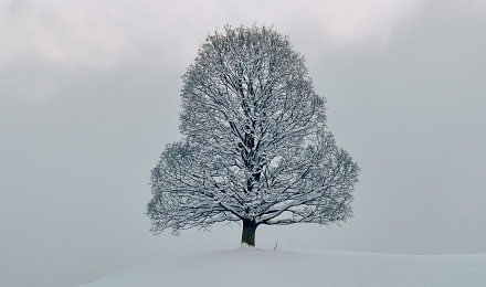 Wallpaper Snow, Freezing, Winter, Chemistry, Natural Landscape, Background Free Image