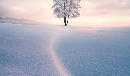 Mikko Lagerstedt Photographs the Quiet Grandeur of Snowy Nordic Landscapes