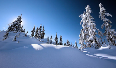 Snowy landscape