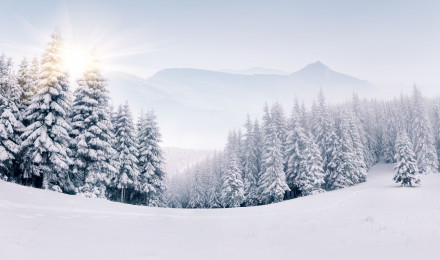 Nature Winter 4k Ultra HD Wallpaper