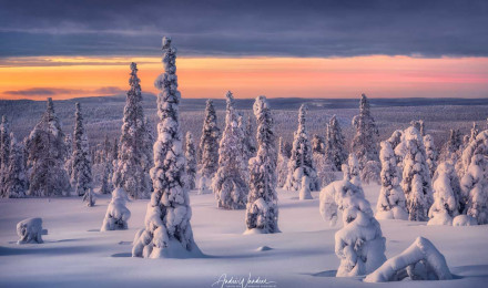 Winter landscapes in Finland