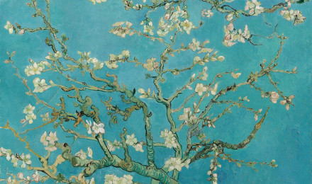 Van Gogh Almond Blossom Wallpaper Mural