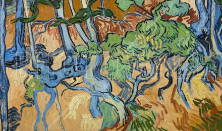 Tree Roots Van Gogh