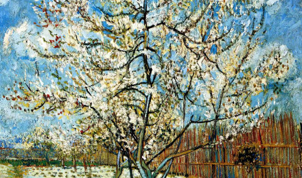 Oil Painting Replica Peach Tree in Blossom, 1888 by Vincent Van Gogh (1853- Netherlands)