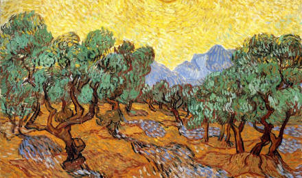 Olive Trees With Yellow Sky And Sun Van Gogh Wallpaper Image