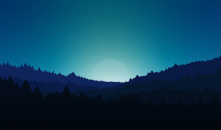 Minimal forest night wallpaper