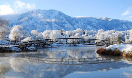 Beautiful winter landscapes