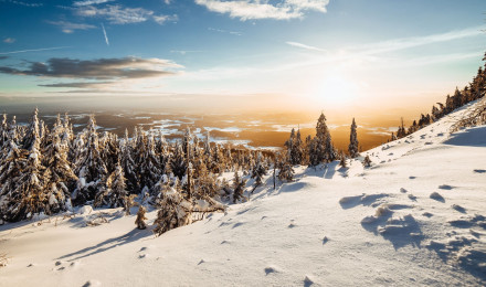 Winter Wallpaper 4K, Landscape, Pine trees