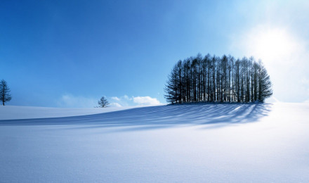 Winter Scenery Wallpaper