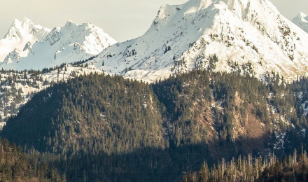 Eagle flying over lake Wallpaper 4k Ultra HD