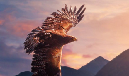 Eagle Wallpaper 4K, Sunset, Mountains, Evening sky