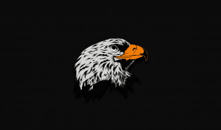 Eagle Dark Illustration 8k 8k HD 4k Wallpaper, Image, Background, Photo and Picture